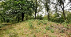Grafheuvel Swalmen (46022) - PID:293033