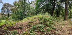 Grafheuvel Swalmen (46022) - PID:293034