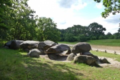 D1 Steenbergen