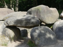 D1 Steenbergen