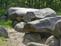 D1 Steenbergen