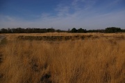 Regte Heide - PID:163010