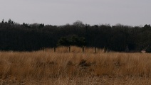 Regte Heide - PID:163016