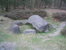 D39 Emmen