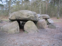 D8 Kniphorstbos