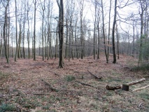 Grafheuvel Apeldoorn (45188) - PID:178340