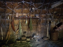 Archeon