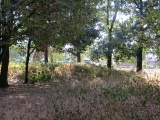 Grafheuvels Renkum (45951) - PID:185378