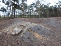 Grafheuvels Oldenzaal (46006)