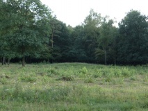Grafheuvels Elsen (45789)