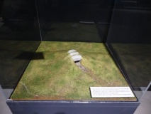 MuzeeAquarium Delfzijl