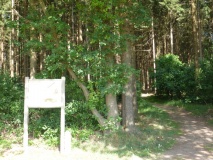 Grafheuvels Markelo (45794)