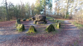 D49 Schoonoord