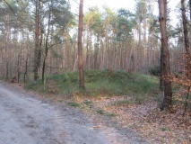 Grafheuvel Apeldoorn (45188) - PID:178337