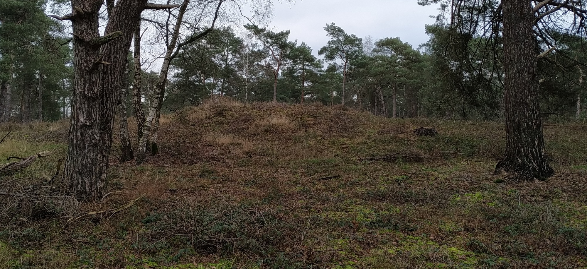 Grafheuvels Leusden Zuid (45629)