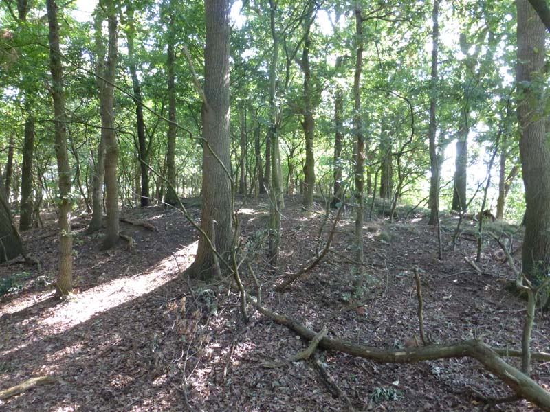 Grafheuvels Oldenzaal (46006)