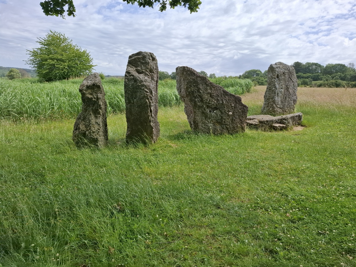 Click for the gallery page to add comments and vote (PID:307489) Oppagne Menhirs