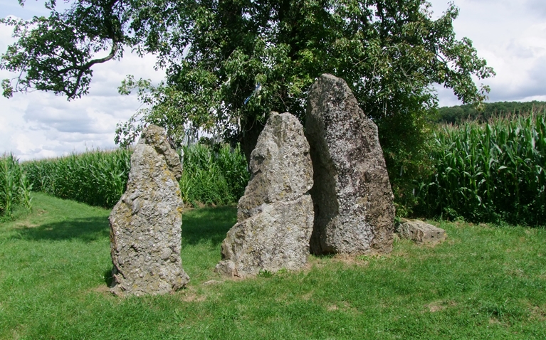 Menhirs d'Oppagne