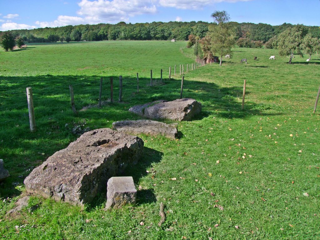 Click for the gallery page to add comments and vote (PID:138153) Menhirs du Champ de la Longue Pierre