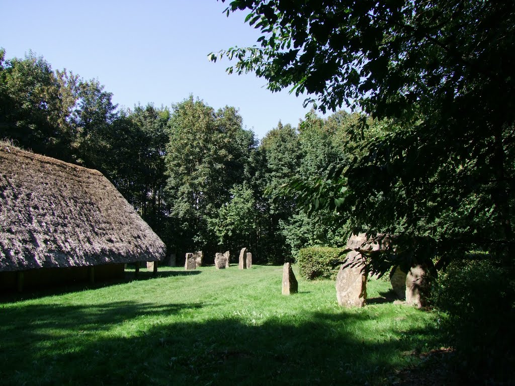 Overall view : longhouse, stone circle, dolmen.  August 2016.

