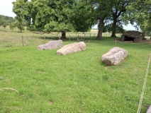 Menhirs du Champ de la Longue Pierre
