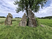 Menhirs d'Oppagne