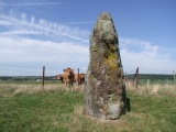 Click for full size image of Beisenerbierg Menhir (PID:157056) Beisenerbierg Menhir