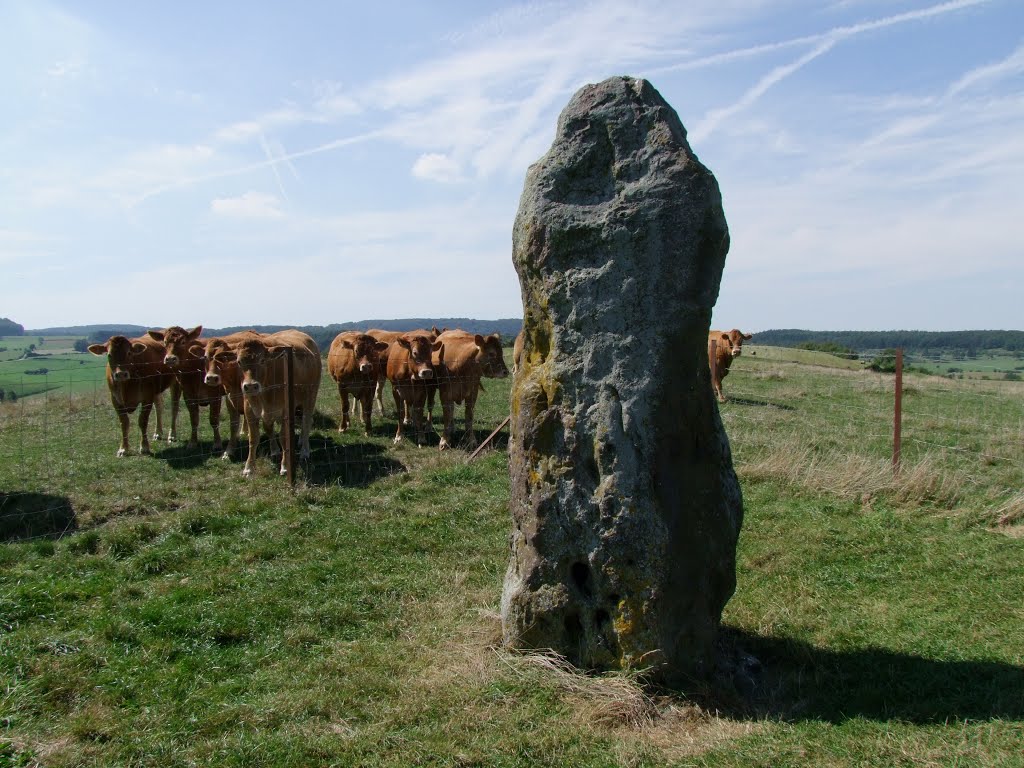 Beisenerbierg Menhir (PID:157059) Beisenerbierg Menhir