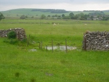 Dew pond, Biggin - PID:90264
