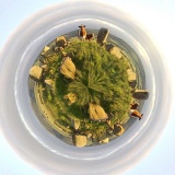 Little Planet Ardlair