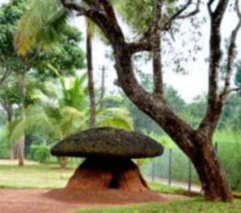 Click for the gallery page to add comments and vote (PID:71675) Cherumangadu Kudakkalparambu