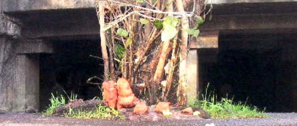 Pataleshwar cave temple 