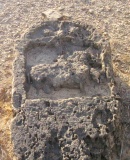 Vinzan Vidyavhasini Devi 
