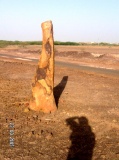 Khadir