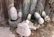Click for full size image of Vidisha, Madhya Pradesh (PID:150102) Vidisha, Madhya Pradesh