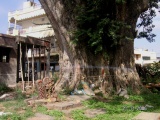 Sri Pancha Lingaeshwara Temple 