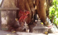 Click for full size image of Gokarna (PID:151188) Gokarna