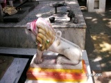 Korta, Pali Taluka