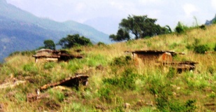 Marayoor Muniyaras