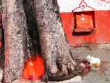 Click for full size image of Ujjain (PID:151150) Ujjain
