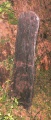 Click for full size image of Gokarna (PID:151180) Gokarna