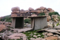 Morernani 