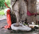Click for full size image of Ujjain (PID:151163) Ujjain