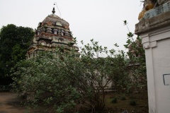 Rajendrapattinam, Shiva temple