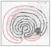 Vashi Labyrinth - PID:303550 Vashi Labyrinth - PID:303550