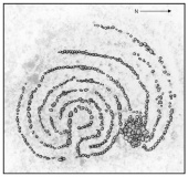 Vashi Labyrinth - PID:303551 Vashi Labyrinth - PID:303551
