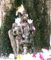 Click for full size image of Ujjain (PID:151149) Ujjain