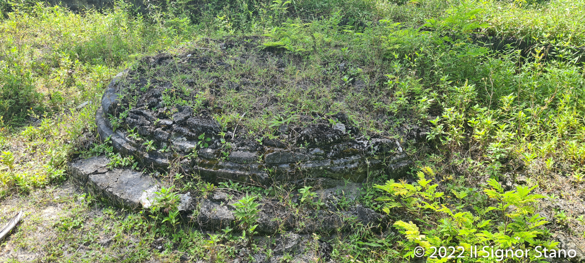 Click for full size image of Kuruhinna Tharaagandu (PID:247102) Kuruhinna Tharaagandu