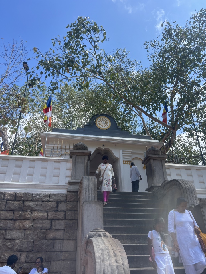 Jaya Sri Maha Bodhi and Lovamahapaya