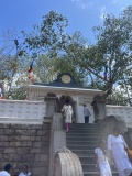 Jaya Sri Maha Bodhi and Lovamahapaya
